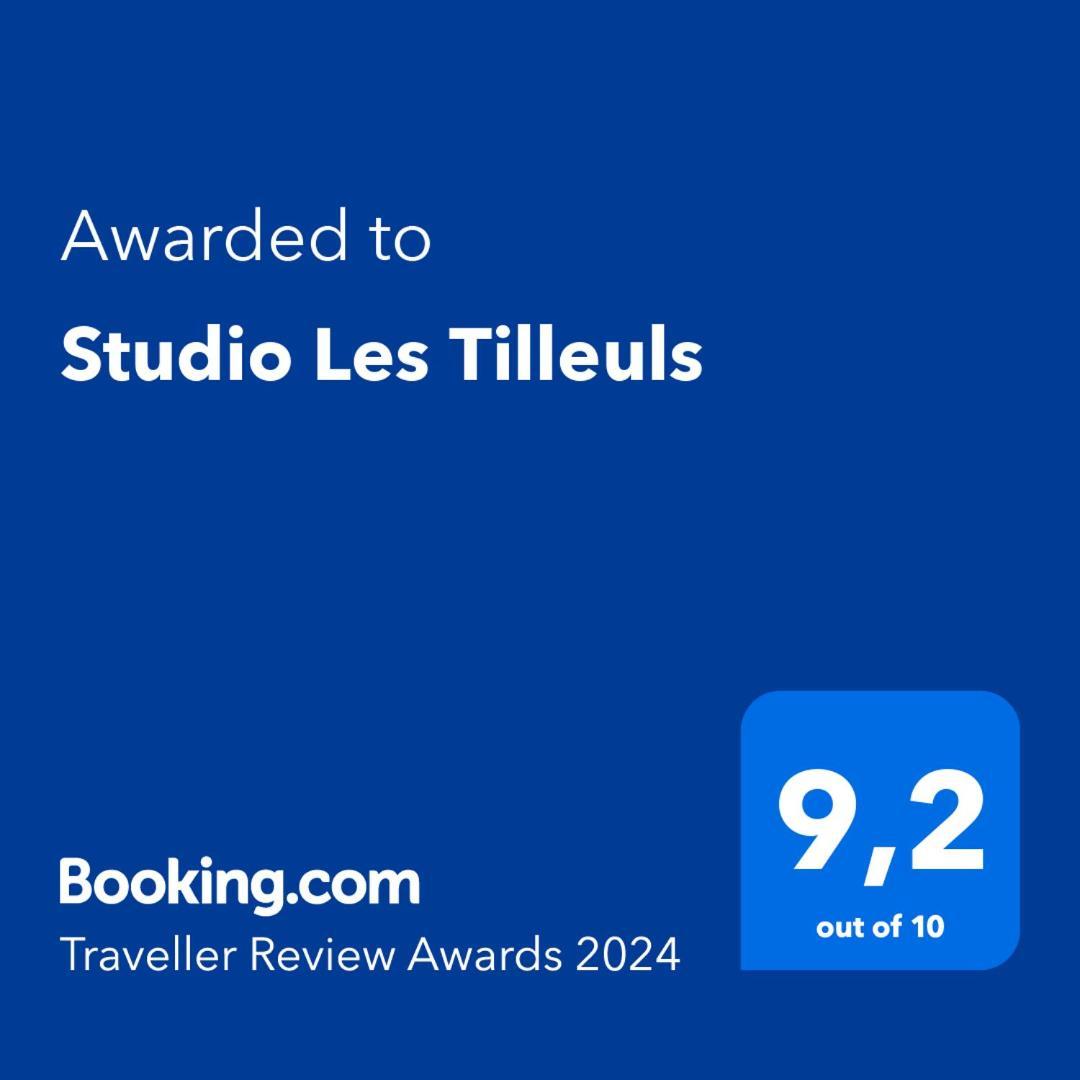 Studio Les Tilleuls Amboise Zewnętrze zdjęcie
